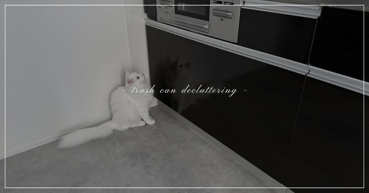 trash-can-decluttering