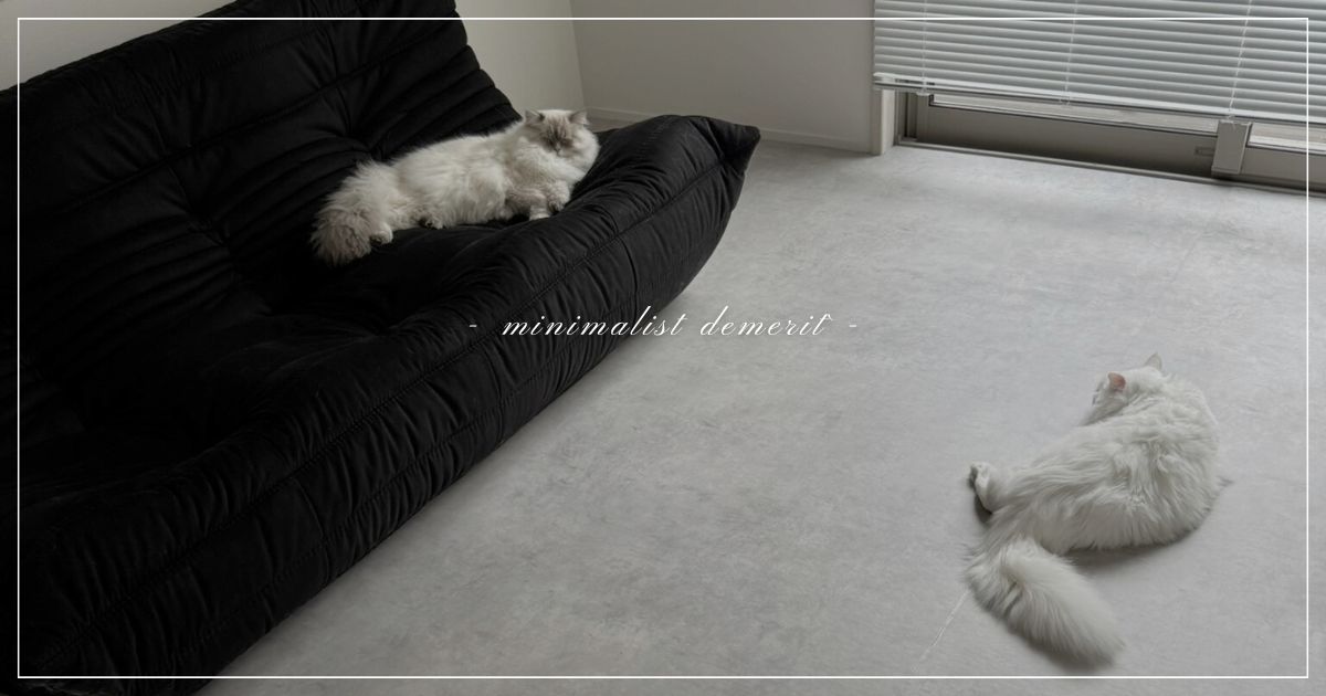 minimalist-demerit