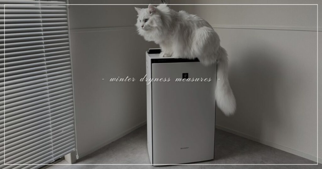 winter-dryness-measures