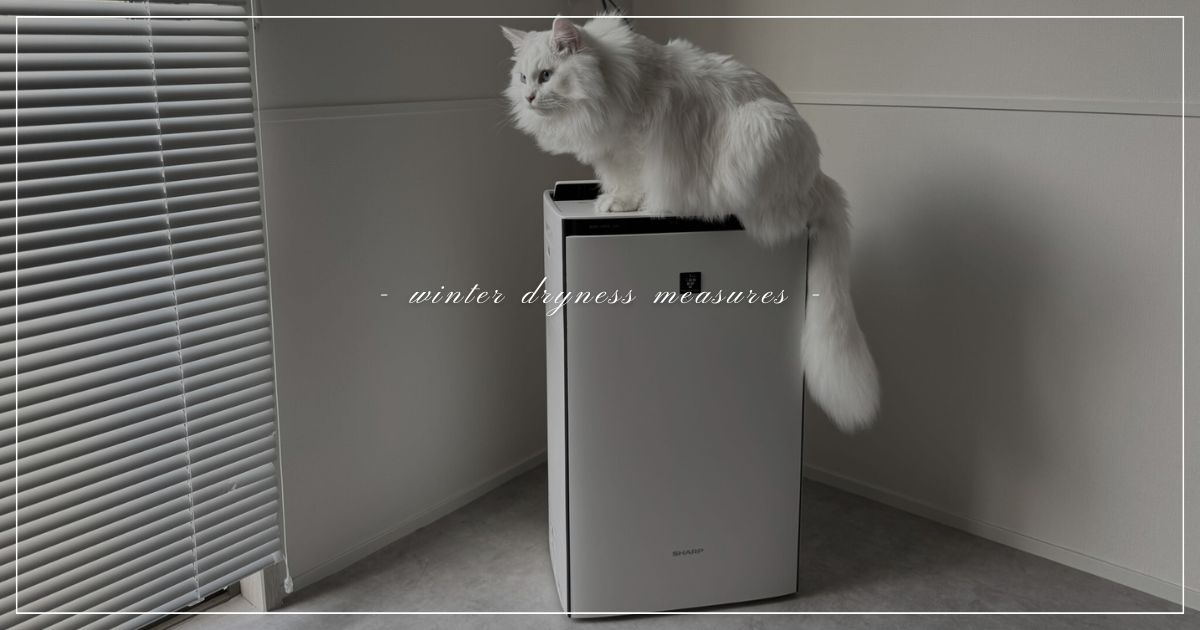 winter-dryness-measures