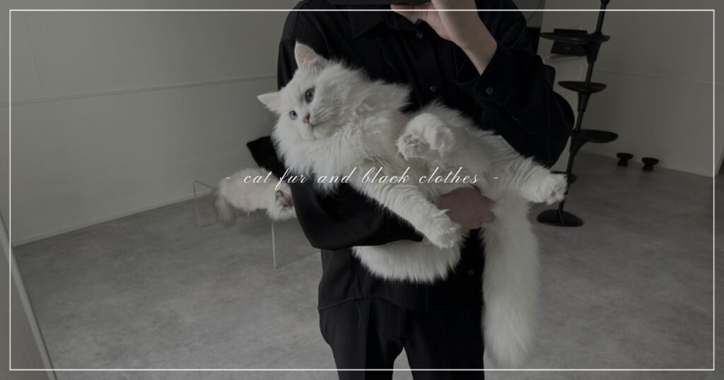cat-fur-and-black-clothes